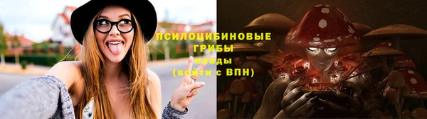 молекула духа Богородицк