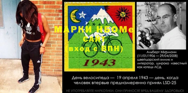 молекула духа Богородицк