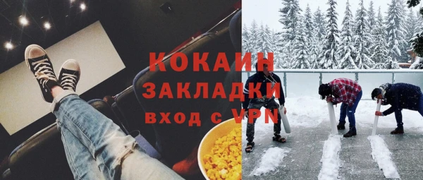 молекула духа Богородицк