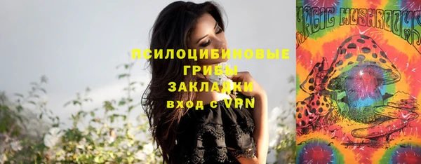 молекула духа Богородицк
